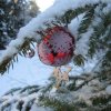 Christbaumkugel