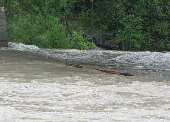 Treibholz auf der Isar